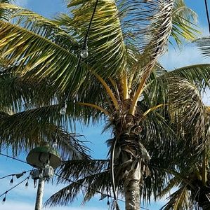 Meet your Posher, Brenna